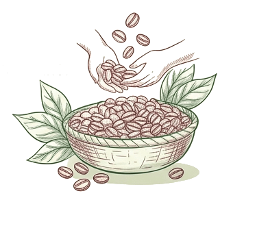 Colheita de Café